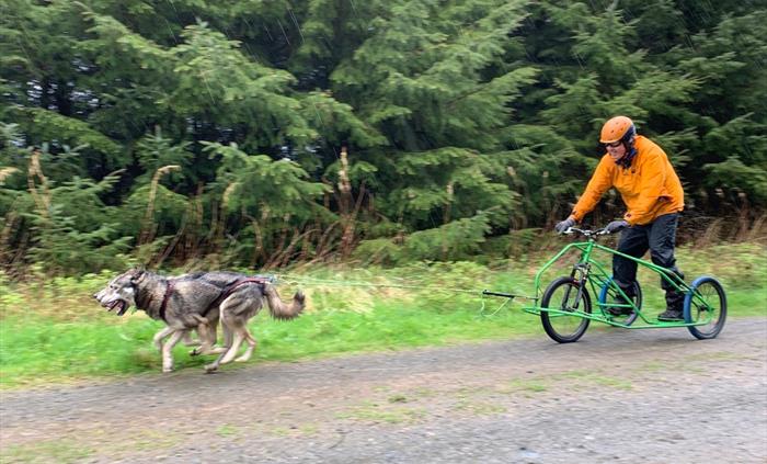 Intro to Mushing Adventure